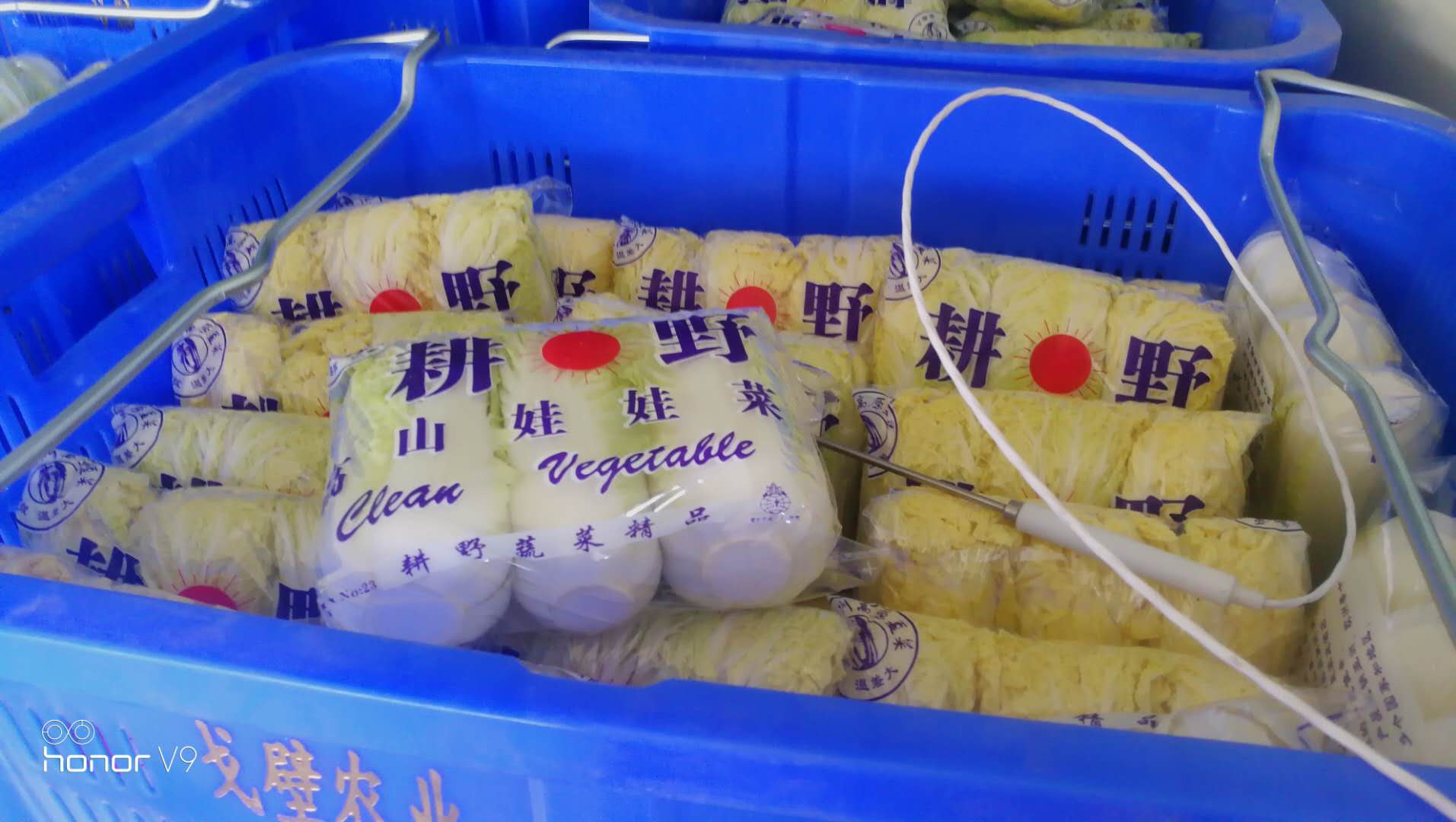 微信图片_20200603161922.jpg